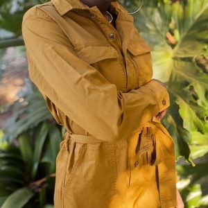 everlane modern utility jumpsuit